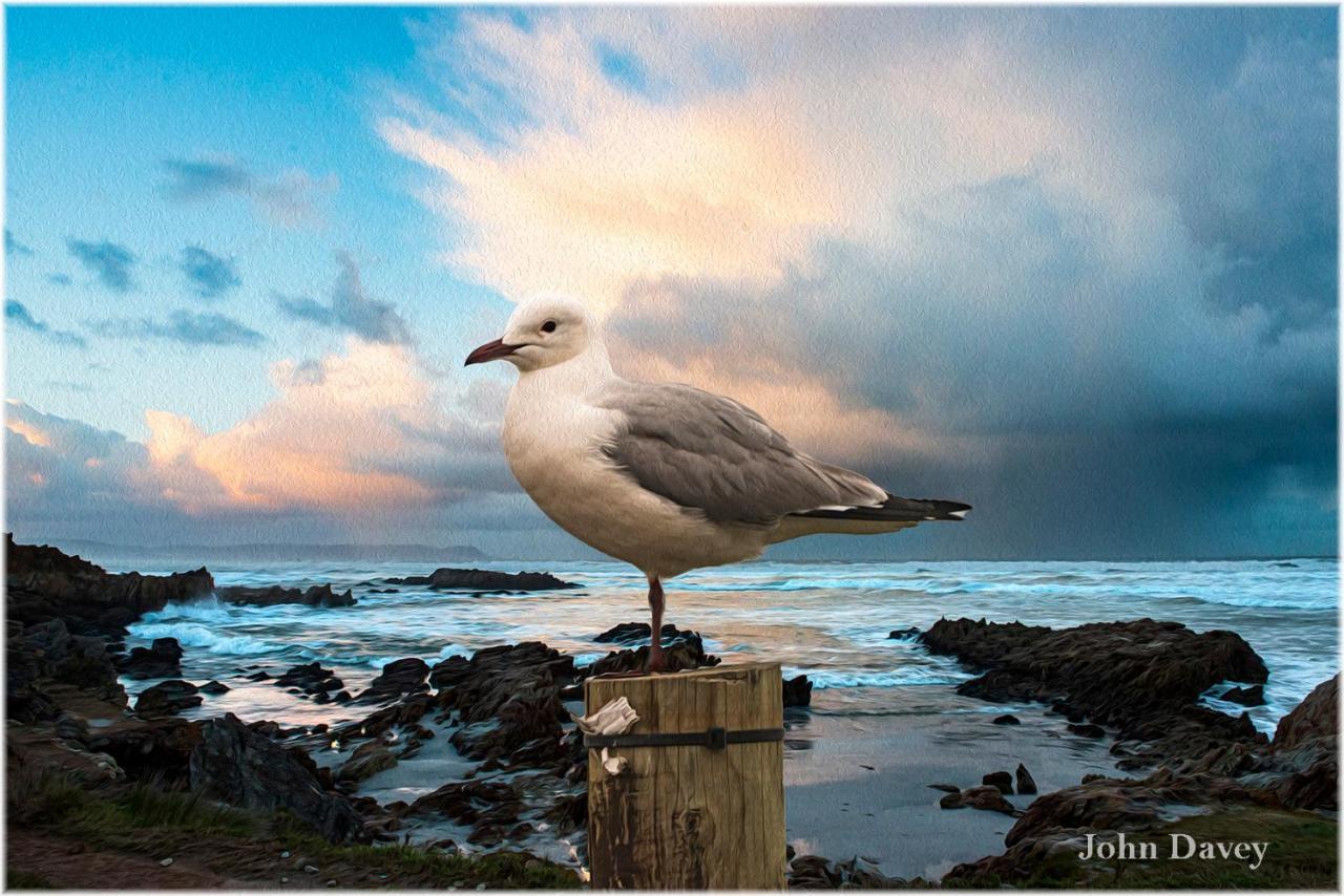 Twentyfour 17 Inn Hermanus Bagian luar foto